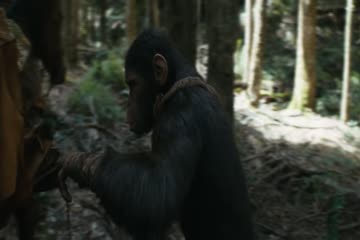 Kingdom of the Planet of the Apes 2024 Dub in Hindi thumb