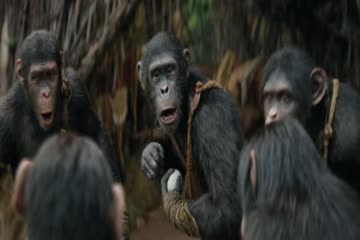 Kingdom of the Planet of the Apes 2024 Dub in Hindi thumb