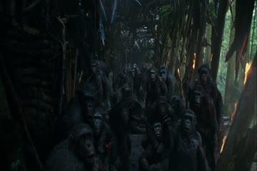 War for the Planet of the Apes 2017 Dub in Hindi thumb